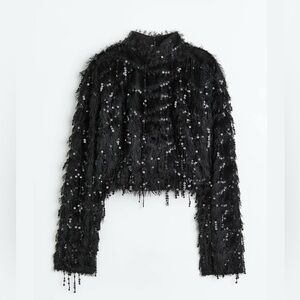 H&M Cropped Sequin Top